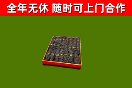 铜山区回收海参